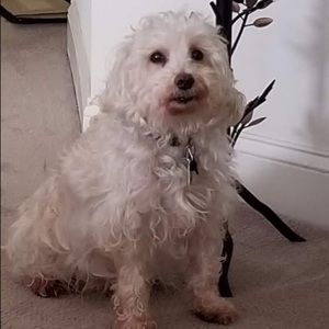 Meet your Posher, Anette